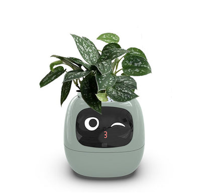 Smart AI Planter – Interactive Self-Watering Plant Pot with Sensors & LED Display | Fun Digital Pet for Home & Office